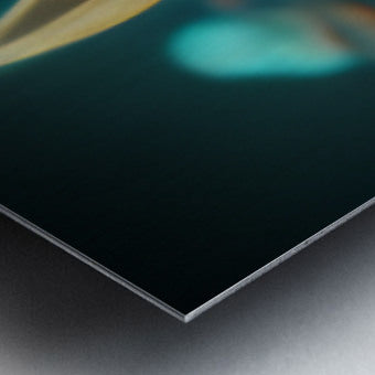 628102 :: Brushed Metal Print