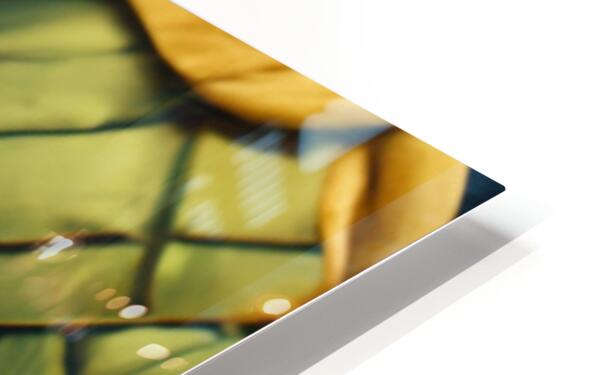 2238480 :: HD Sublimation Metal Print