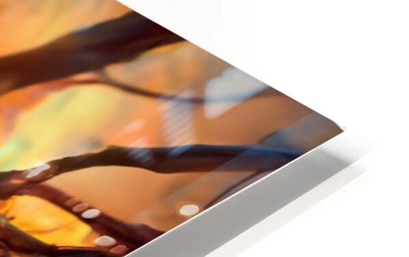 627318 :: HD Sublimation Metal Print