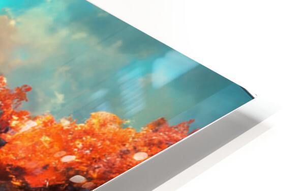 627319 :: HD Sublimation Metal Print