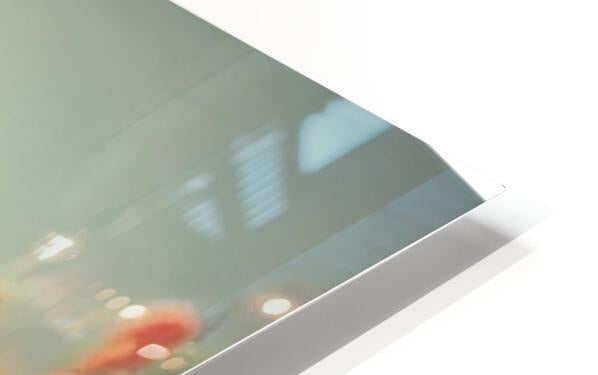 628104 :: HD Sublimation Metal Print