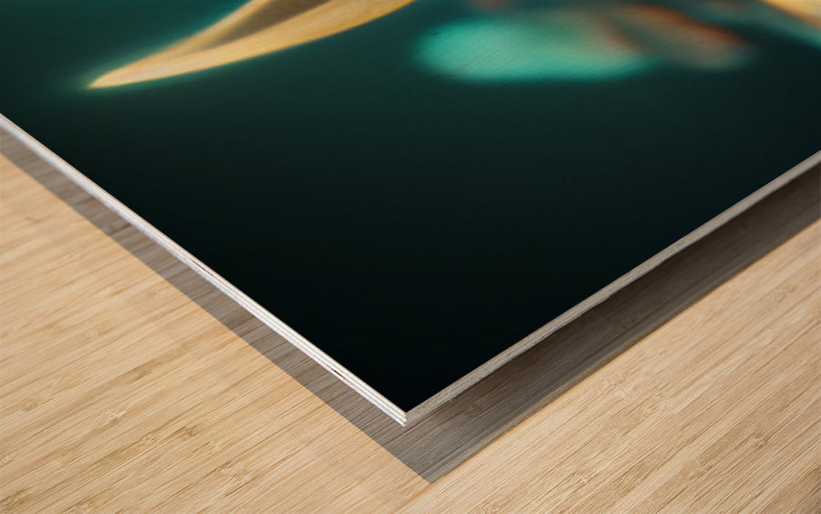 628102 :: Wood Print