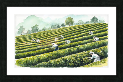2032340 :: Framed Print