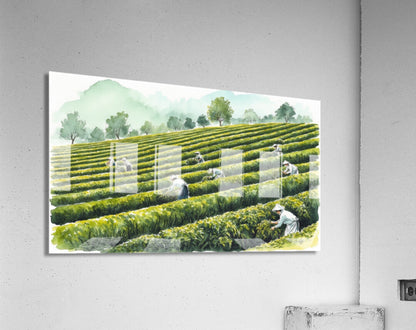 2032340 :: Acrylic Print