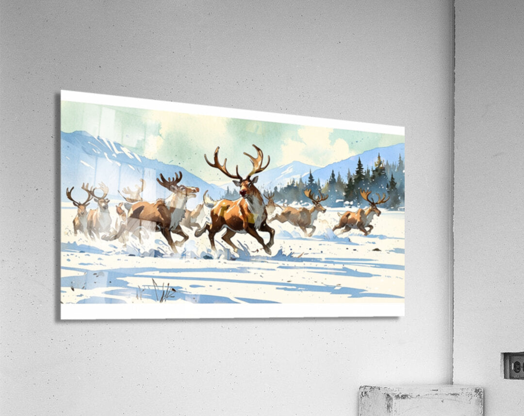 2171110 :: Acrylic Print