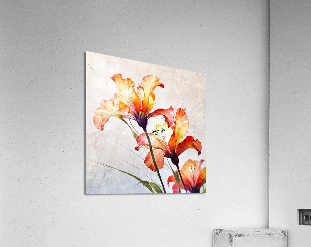 2173018 :: Acrylic Print