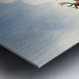 2171111 :: Brushed Metal Print