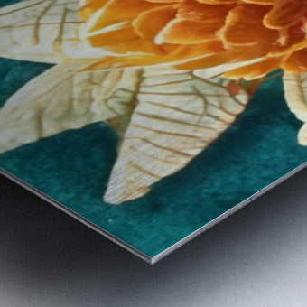 2223796 :: Brushed Metal Print