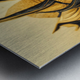 2238465 :: Brushed Metal Print