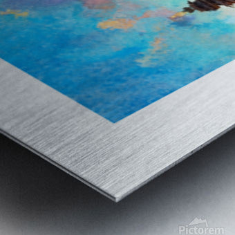 622690 :: Brushed Metal Print