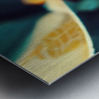 623157 :: Brushed Metal Print