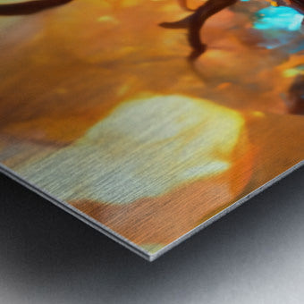627318 :: Brushed Metal Print