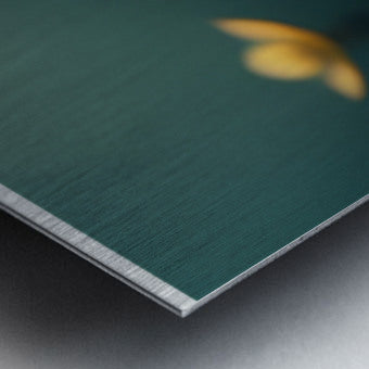 628100 :: Brushed Metal Print