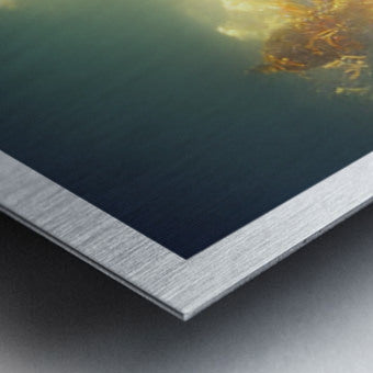 629708 :: Brushed Metal Print