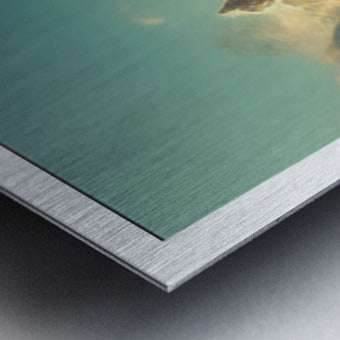 629711 :: Brushed Metal Print