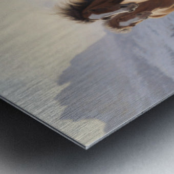 861582 :: Brushed Metal Print