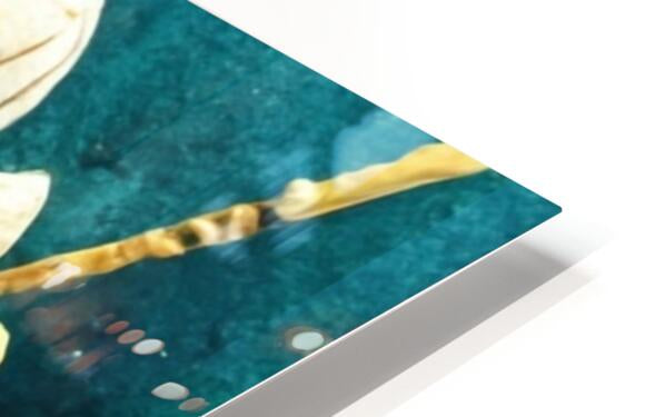 2223796 :: HD Sublimation Metal Print