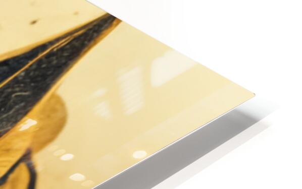 2238465 :: HD Sublimation Metal Print