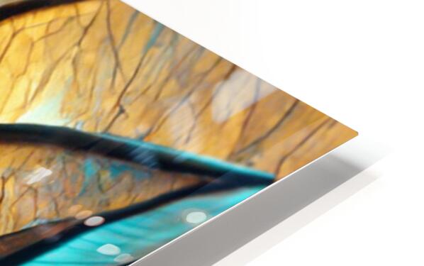 2238469 :: HD Sublimation Metal Print