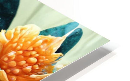2238477 :: HD Sublimation Metal Print