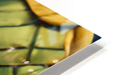 2238480 :: HD Sublimation Metal Print