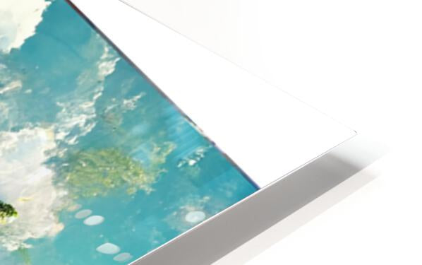 623067 :: HD Sublimation Metal Print