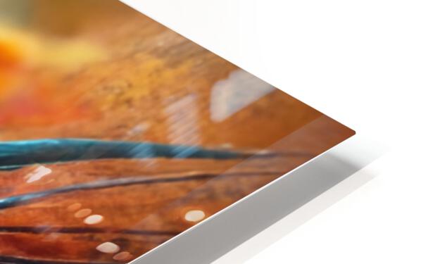623156 :: HD Sublimation Metal Print