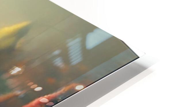 628103 :: HD Sublimation Metal Print