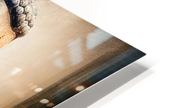 714547 :: HD Sublimation Metal Print