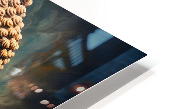 854506 :: HD Sublimation Metal Print