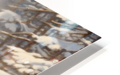 861580 :: HD Sublimation Metal Print