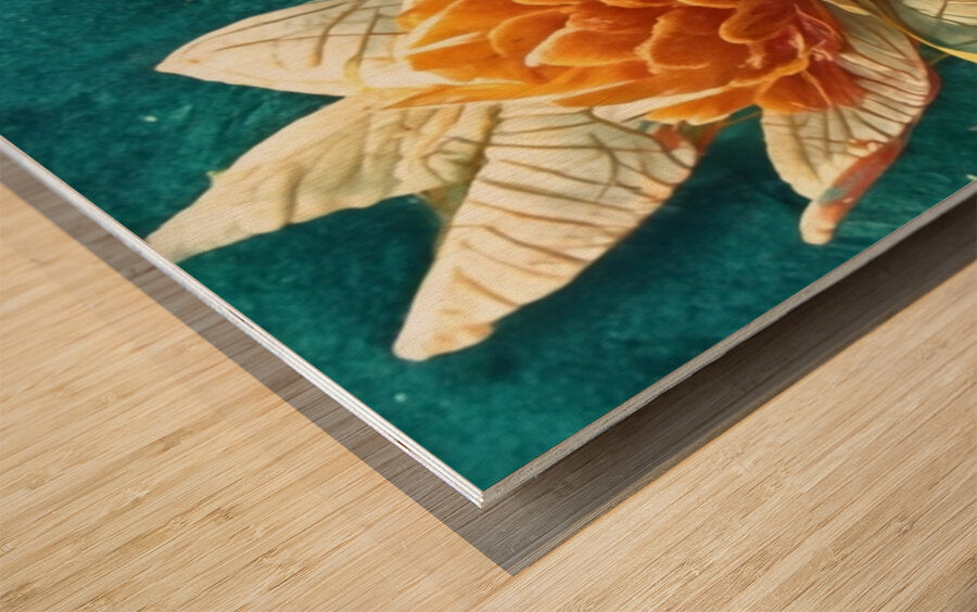 2223796 :: Wood Print