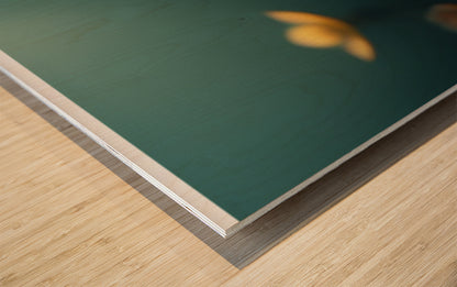 628100 :: Wood Print