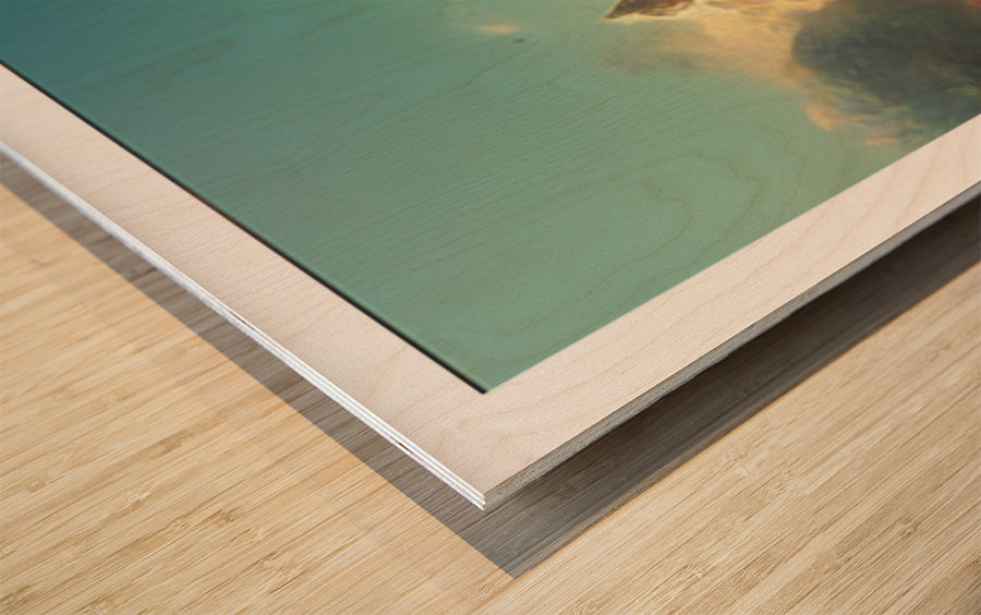 629711 :: Wood Print
