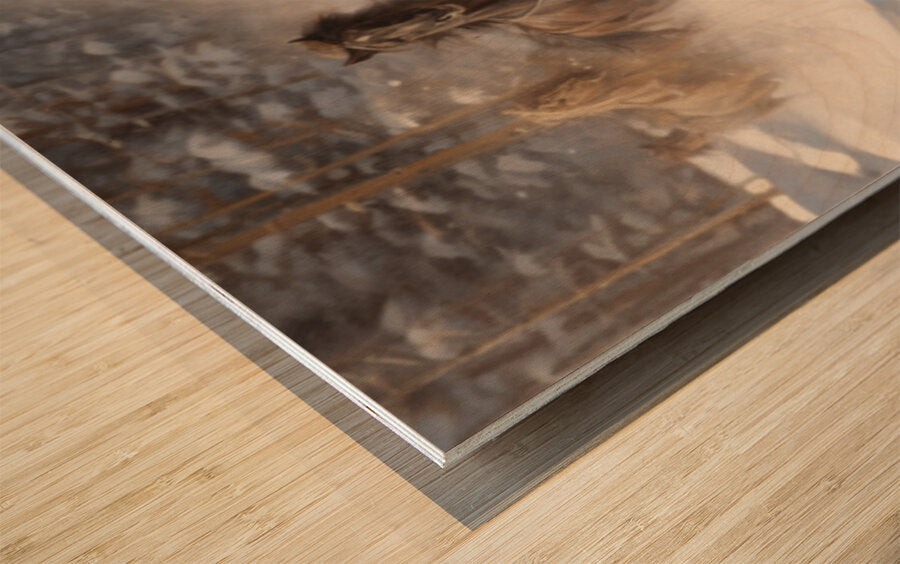 861580 :: Wood Print