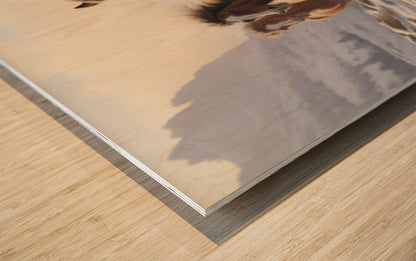 861582 :: Wood Print
